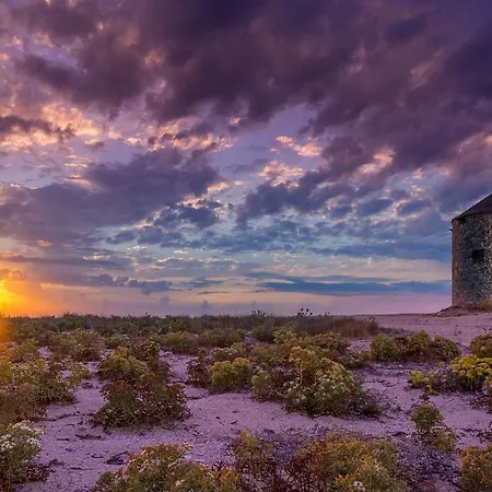 Aeriko Homes Of Distinction *